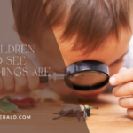 Teach Your Children the Process