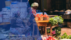 The Nigerian family food budget and how to keep it under control