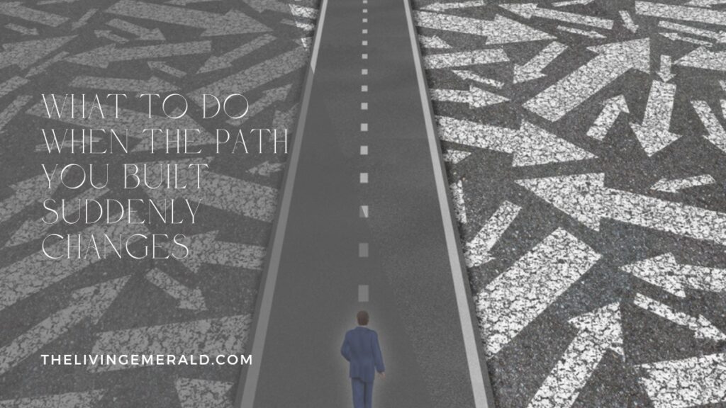 Life stops going to plan - path suddenly changes